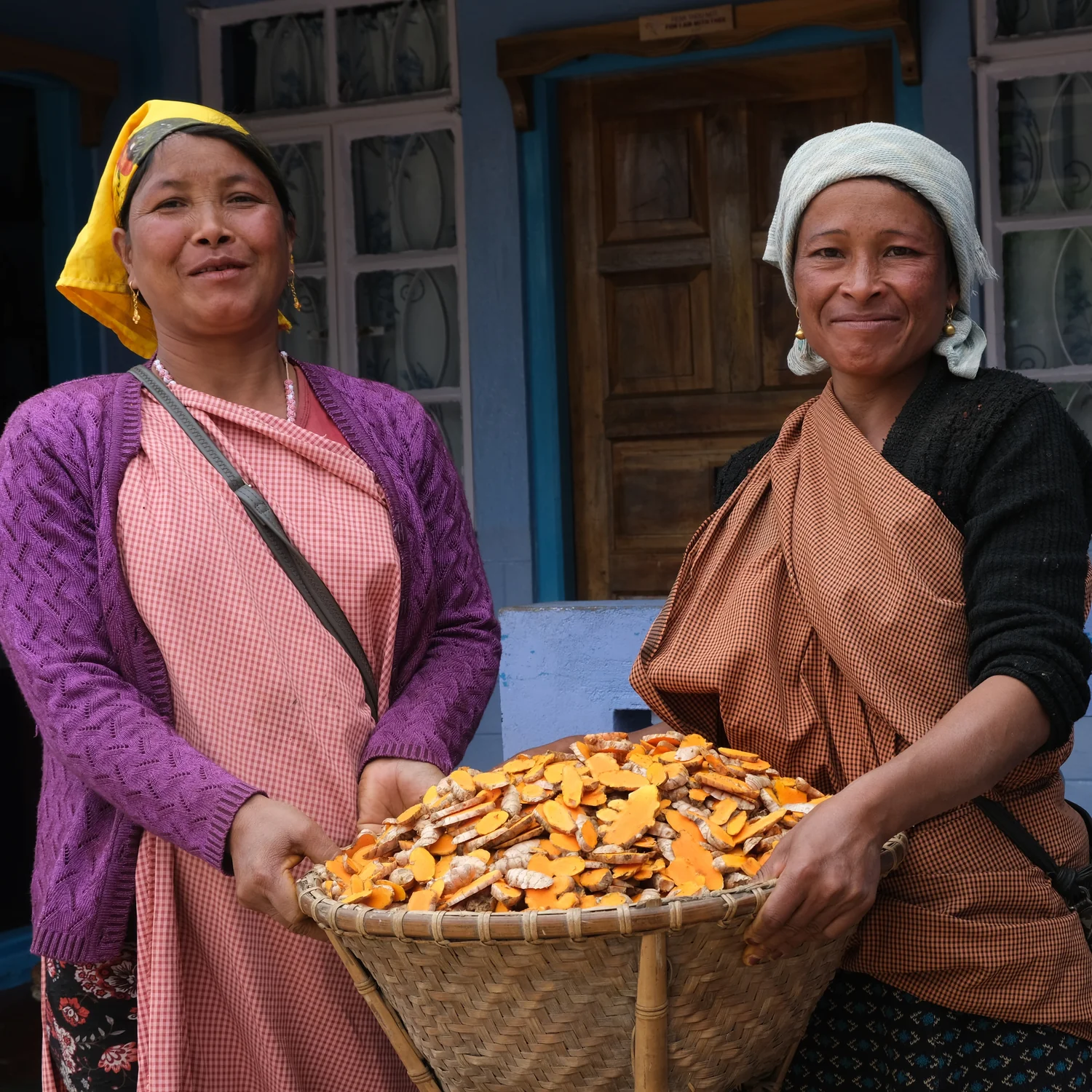 Lakadong turmeric farmers Jaintia Hills Meghalaya